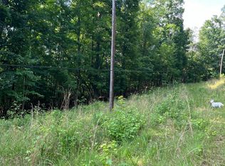 0 Willow Dr, Spring City, TN 37381