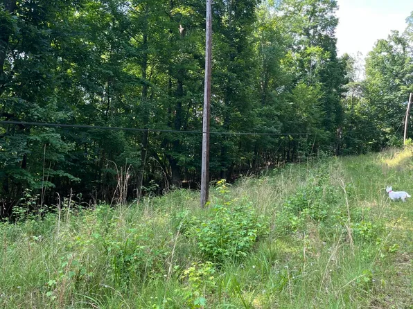 0 Willow Dr, Spring City, TN 37381