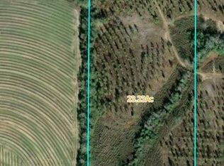 (Undisclosed Address), Pansey, AL 36370