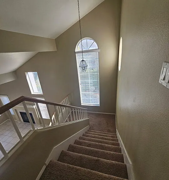 25232 Carson Way — Photo 40