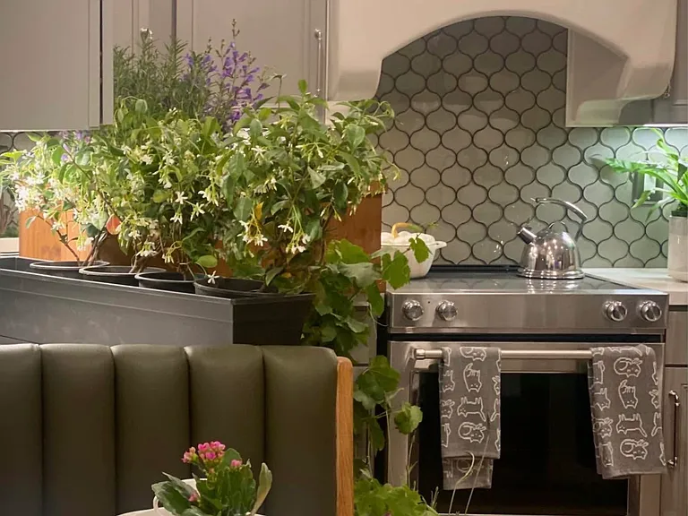 Under cabinet lighting to maintain ambience even when cooking making the experience more joyful and peaceful.