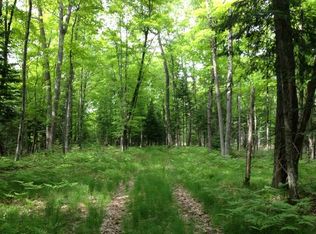 LOT21&23 Cth N, Plum Lake, WI 54560