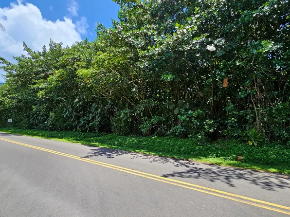 Papai St Lot 2, Pahoa, HI 96778