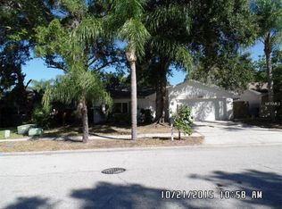 2337 Orangepointe Ave, Palm Harbor, FL 34683