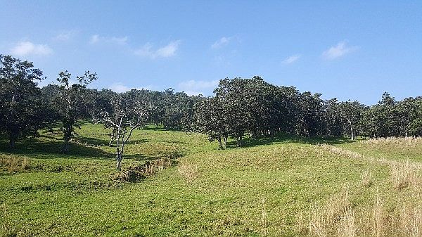2nd image of Koholalele Rd E Lot 19C-1