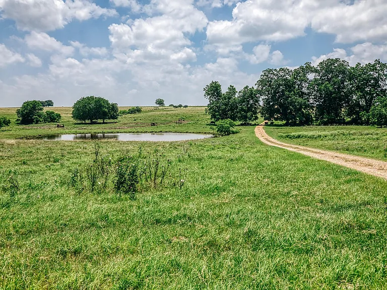 14808 Whitman Rd — Photo 30