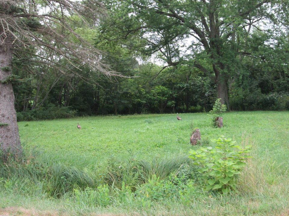 2nd image of 3564 W Snow Rd