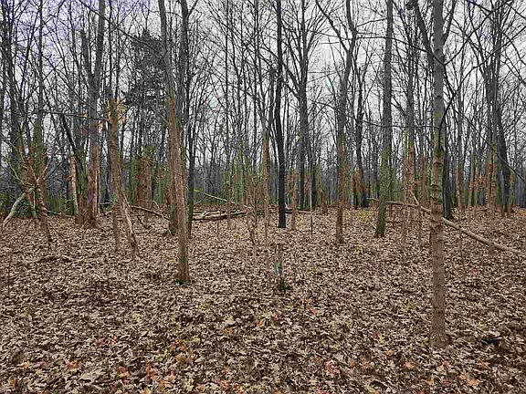 5th image of 0 E Mozart Rd