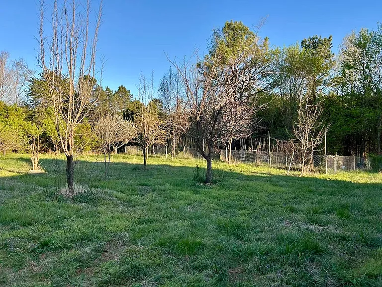 534 Dodson Rd — Photo 36