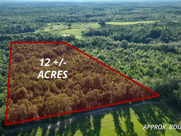 0 County Road 81 Tract #2, Tuskegee, AL 36083