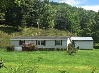 422 Amma Rd, Clendenin, WV 25045