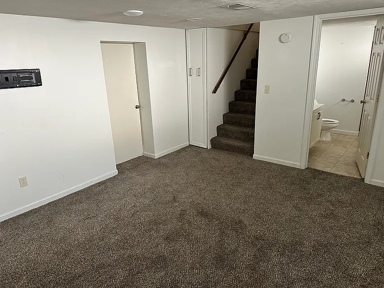 Basement family room / office