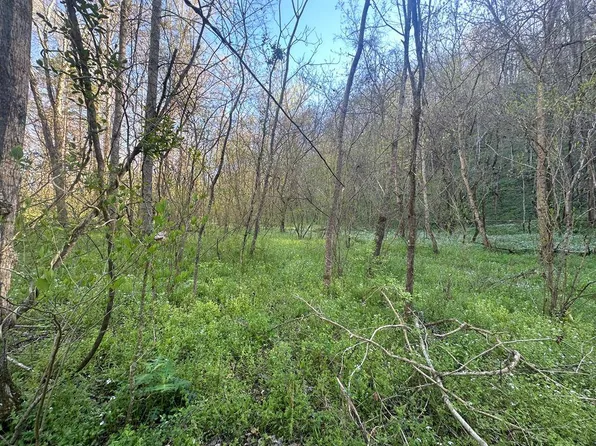 0 McCoy Rd, Burkesville, KY 42717