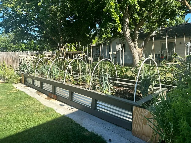Garden beds