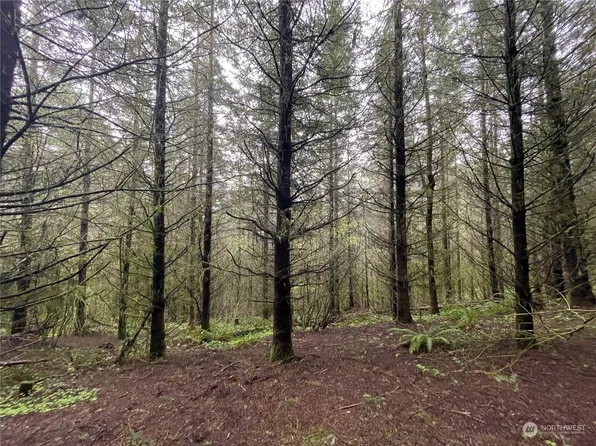 0 Weyerhaeuser Road, Kalama, WA 98625