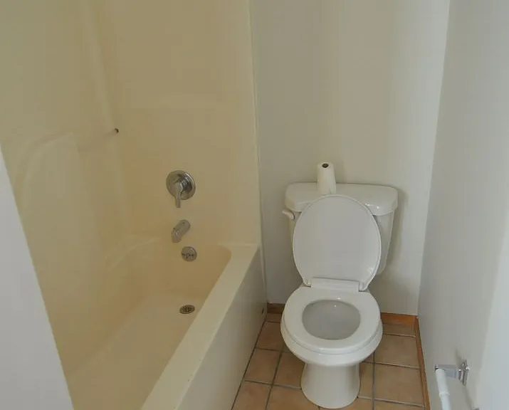 214 Spruce St #A-D — Photo 44