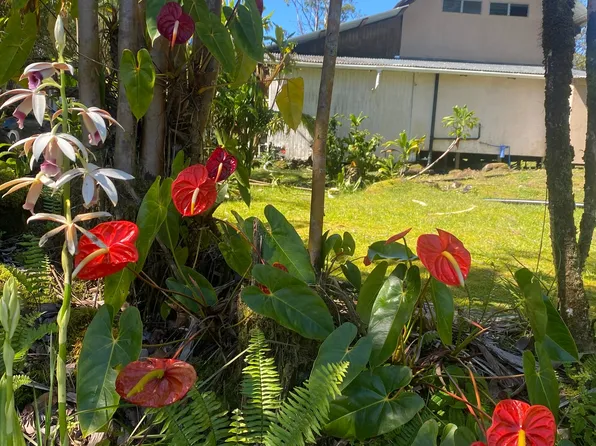 11-1860 Mahina St, Mountain View, HI 96771
