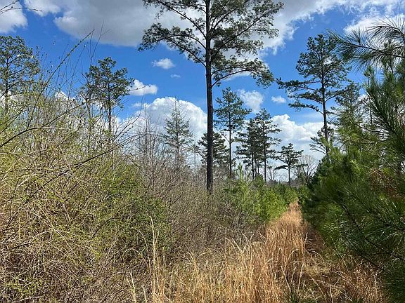 4th image of Parker Rd