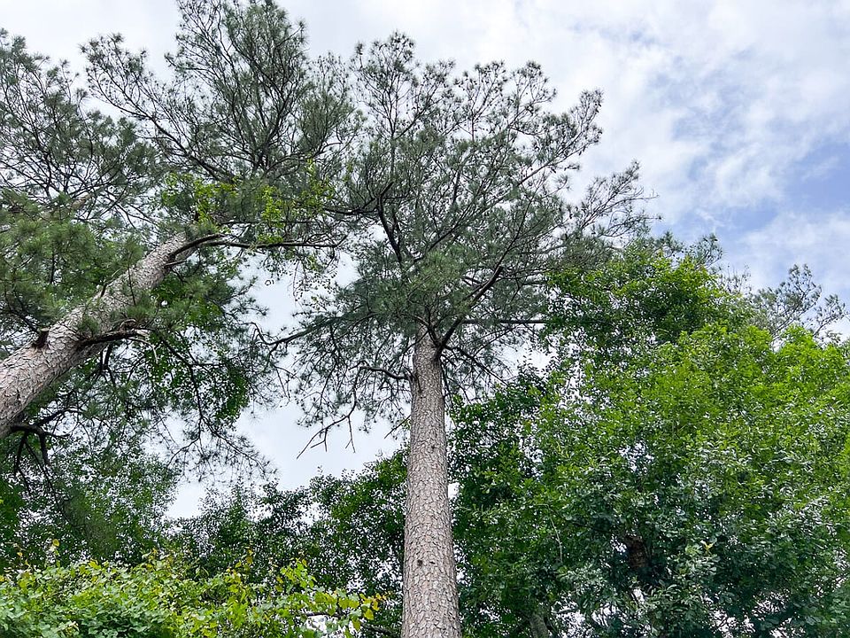 2nd image of Fm 2937