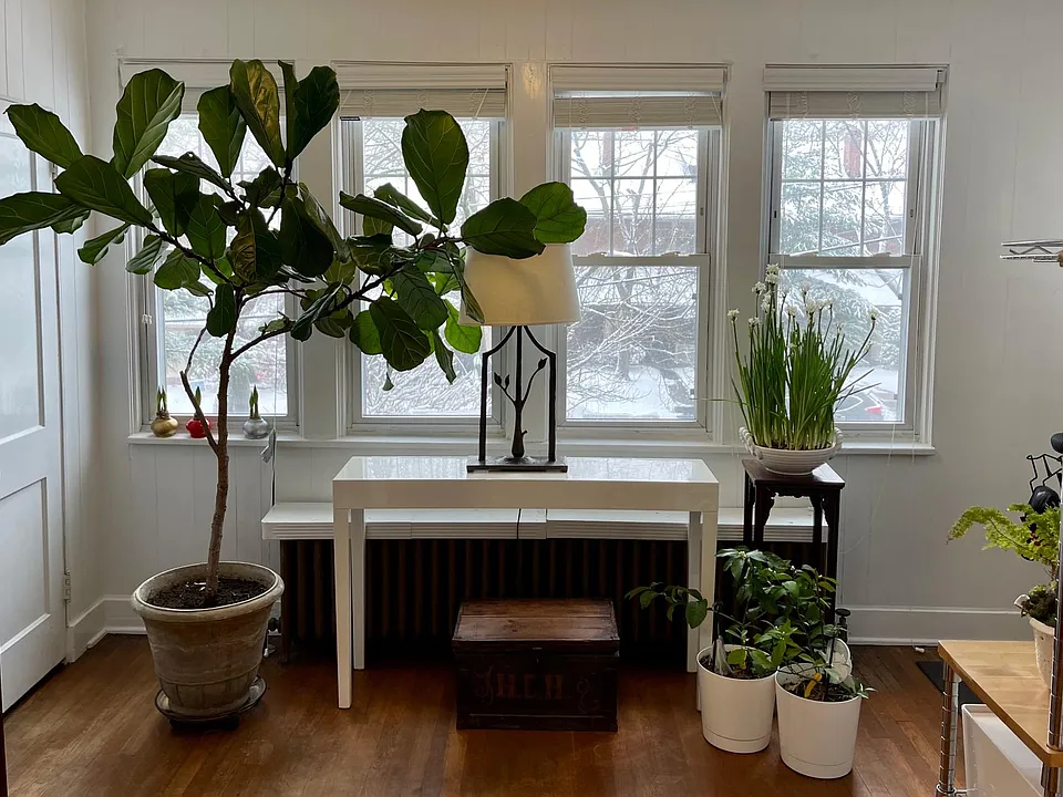 Sunroom