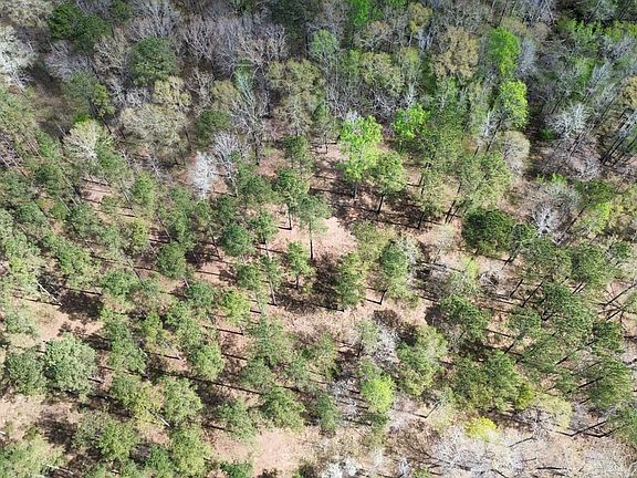 Dji Fly 20260328 115816 536 1774714088464 Photo Optimized