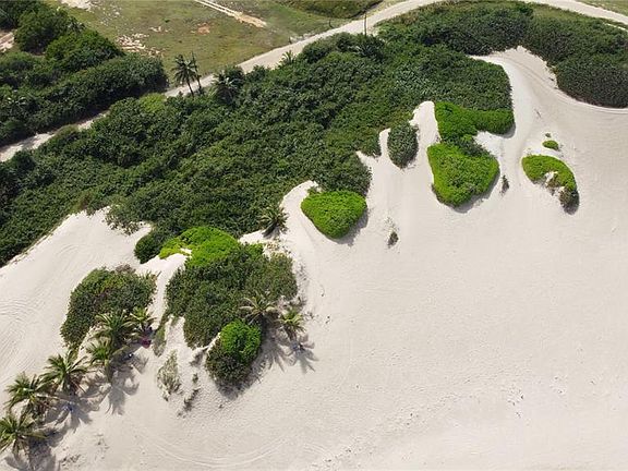 2nd image of Guayabo #C