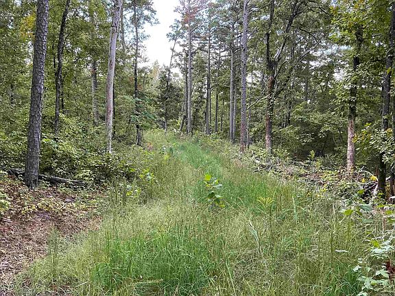 4th image of 11766 Highway 65 N