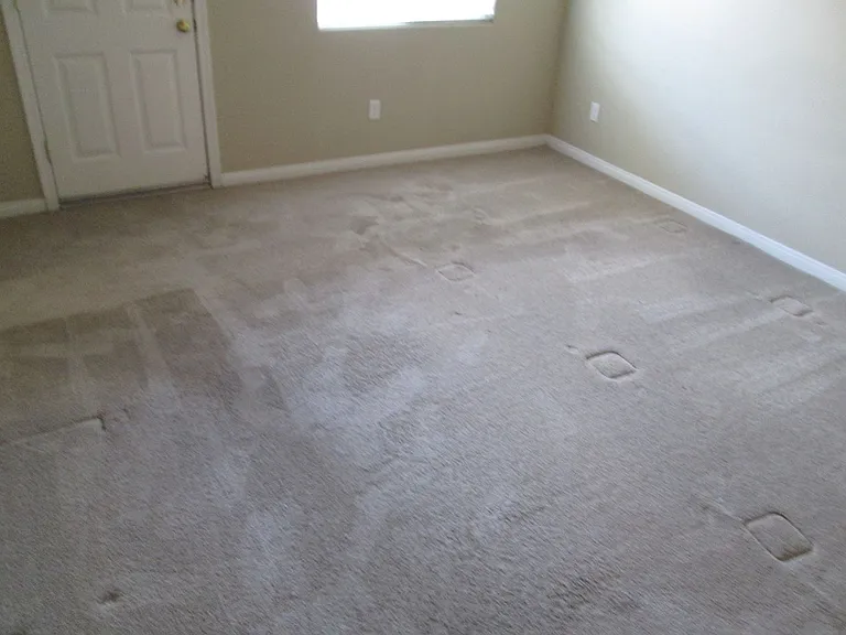 3455 Rustic Meadow Ct — Photo 6