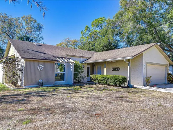 15310 Lazy Lake Pl, Tampa, FL 33624