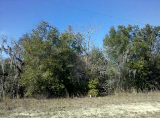 10 NW 55th Ave, Bell, FL 32619