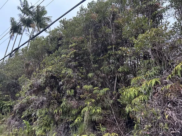 Road 8 Lot 434, Volcano, HI 96785