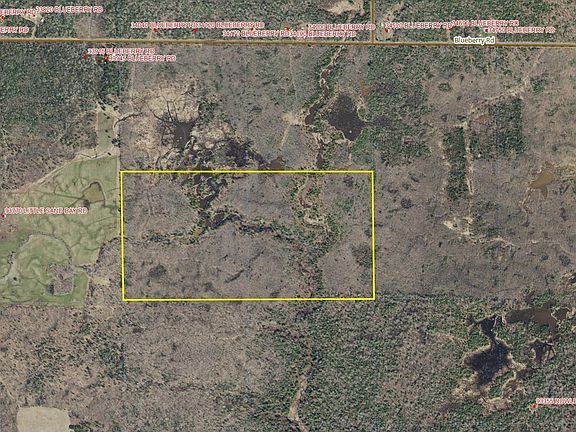 2nd image of Near Blueberry Rd