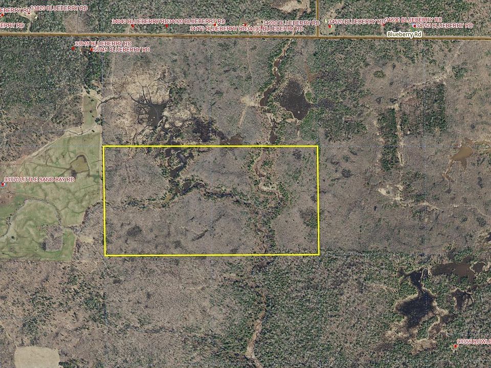 2nd image of Near Blueberry Rd