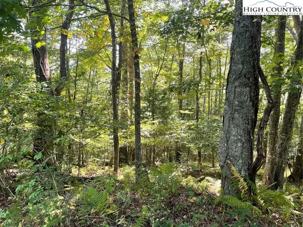 TBD Johnson hill Drive, Piney Creek, NC 28663