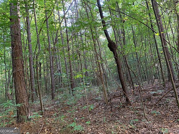 3rd image of 5.10 Acres Hwy #123
