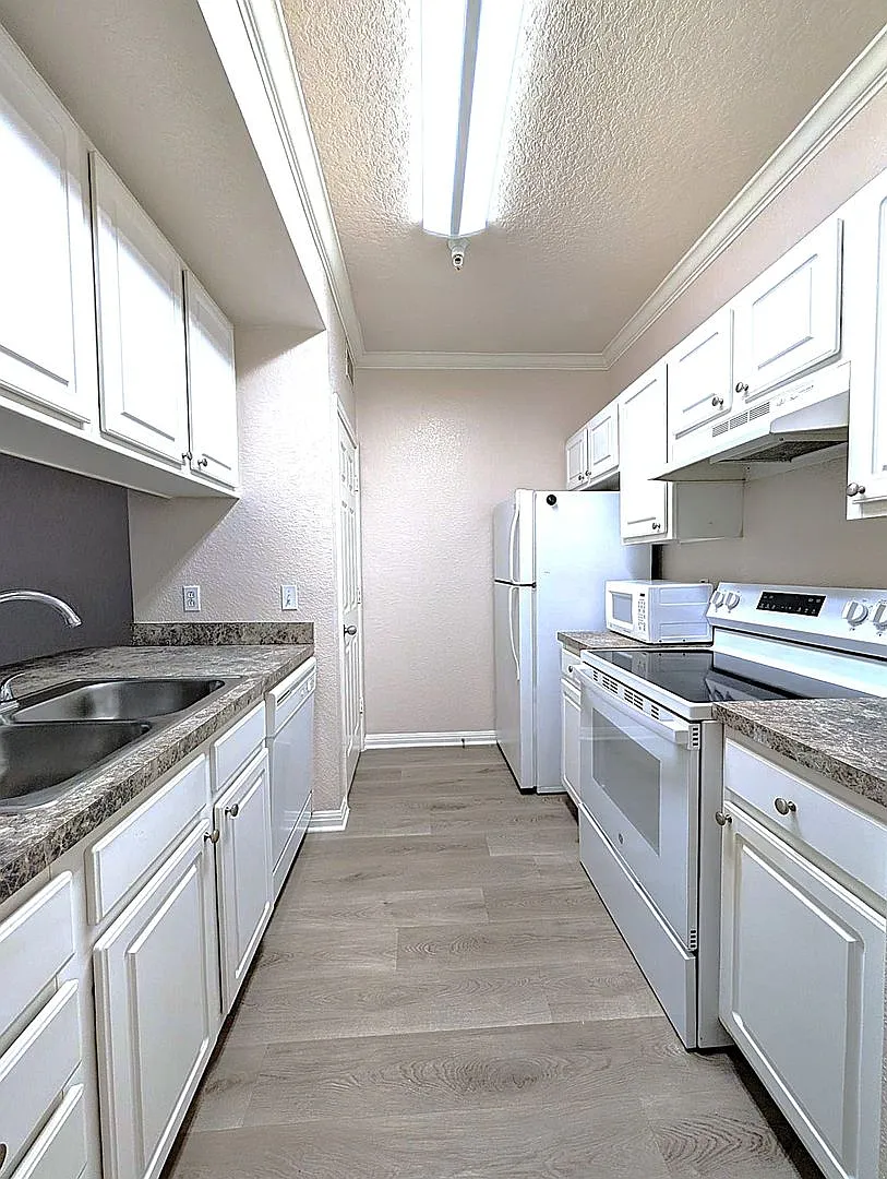 1x1 Spacious, bright and comfortable! Newly renovated! Walk to Lake Ivanhoe! — Photo 3