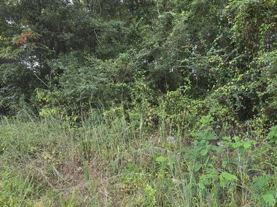 0 John D Fortenberry Rd, Columbia, MS, 39429