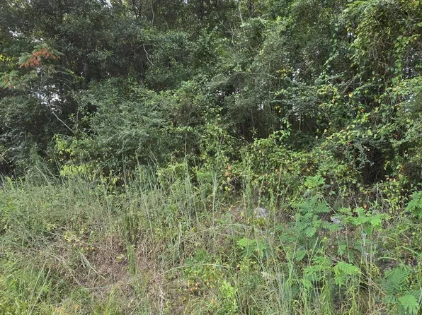 0 John D Fortenberry Rd, Columbia, MS 39429