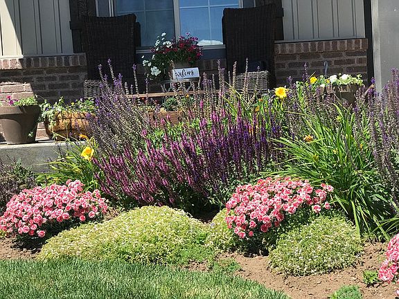 Perennial flower beds
