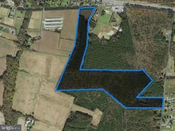 0 S Beaver Neck Village Rd, Linkwood, MD 21835