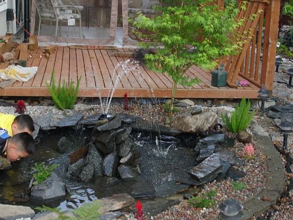 corner pond