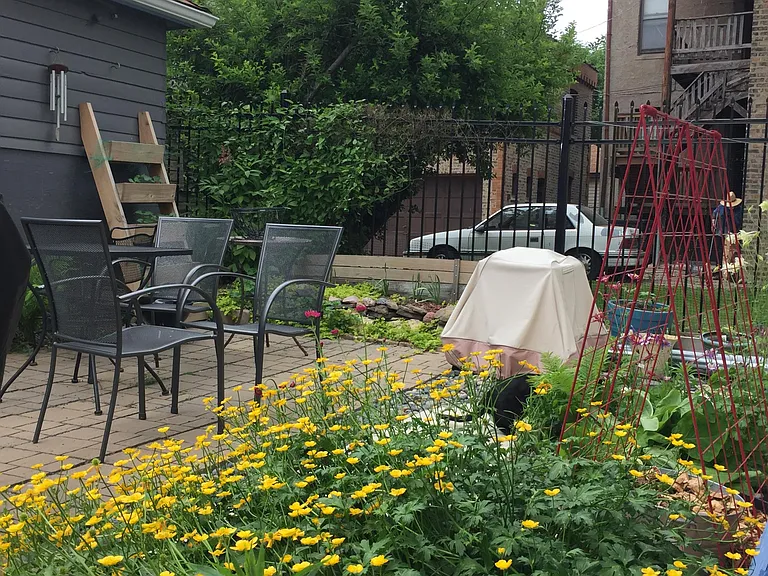 Butterflies frequent the garden.