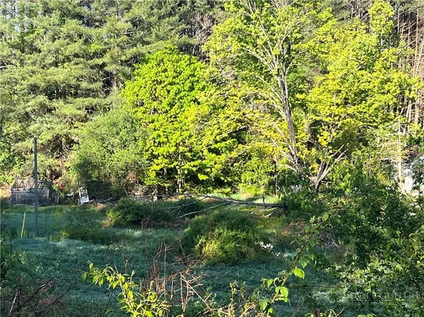 TBD JOHN HALSEY Road, Grassy Creek, NC 28631