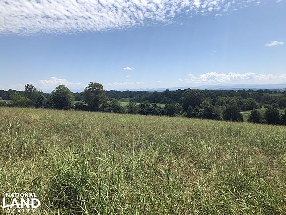 Mountain View from top of hay field