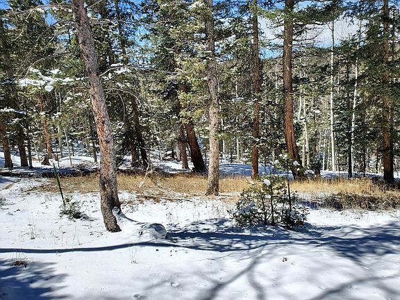 5th image of 431 Cottonwood Lake Dr