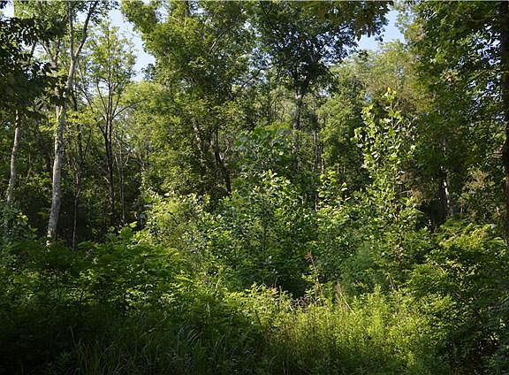 2nd image of 613 Gay Winds Dr Lot 87