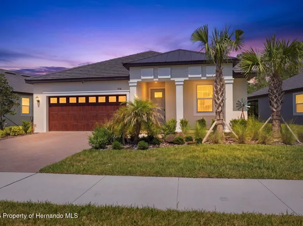 9776 Minnow Ray Dr, Land O Lakes, FL 34638