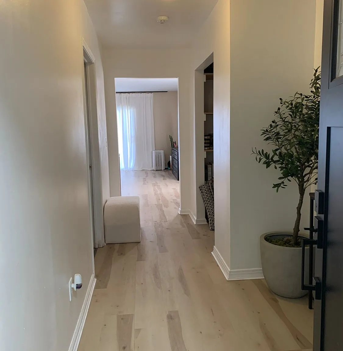 3 bed, 2.0 bath, 1600 sqft, $3,050 — Photo 1