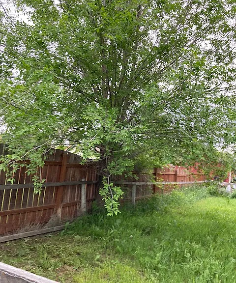 5XX W 13th Ave — Photo 18