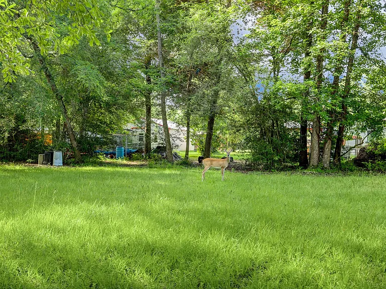 9193 Lucille Ln — Photo 30